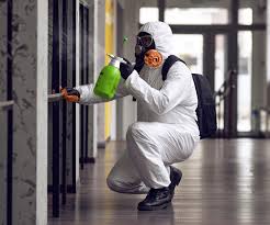 Best Biohazard Mold Removal  in Junction, TX